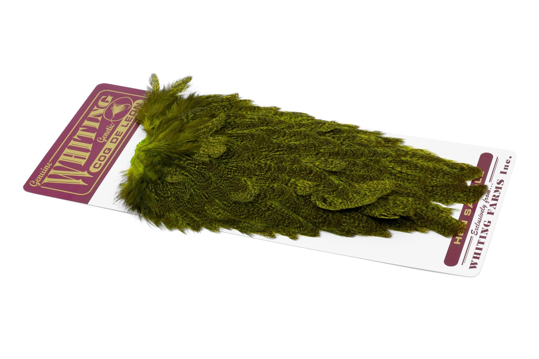 nx01 WHITING Coq de Leon ヘンサドル Olive Whiting Coq De Leon Hen Saddle – Fly Fish Food