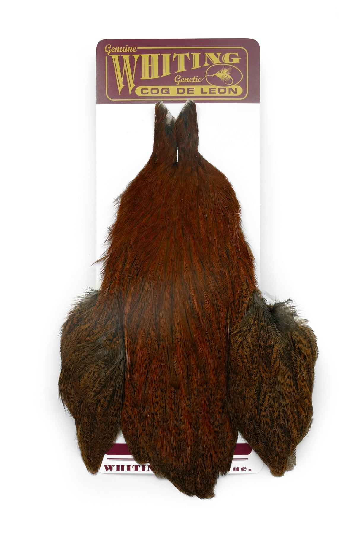 Coq de Leon Hen Cape – Fly Fish Food