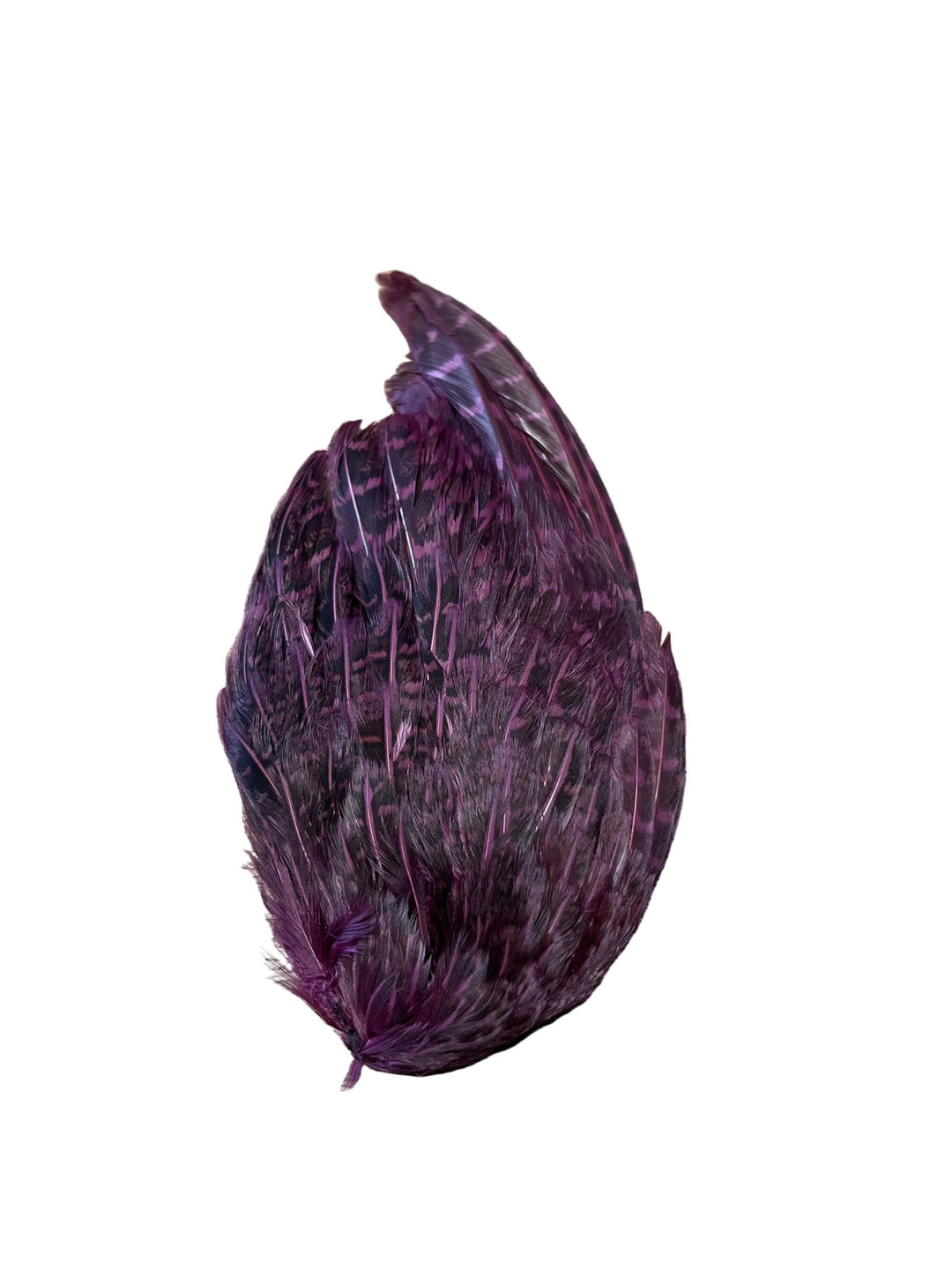 Partridge Wings Dyed - Feathers & Marabou - Fly Fish Food