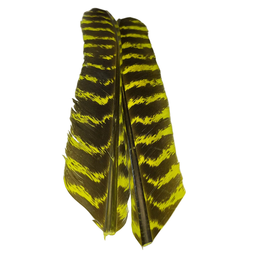Barred Turkey Biot Quill Pair - Feathers & Marabou - Fly Fish Food