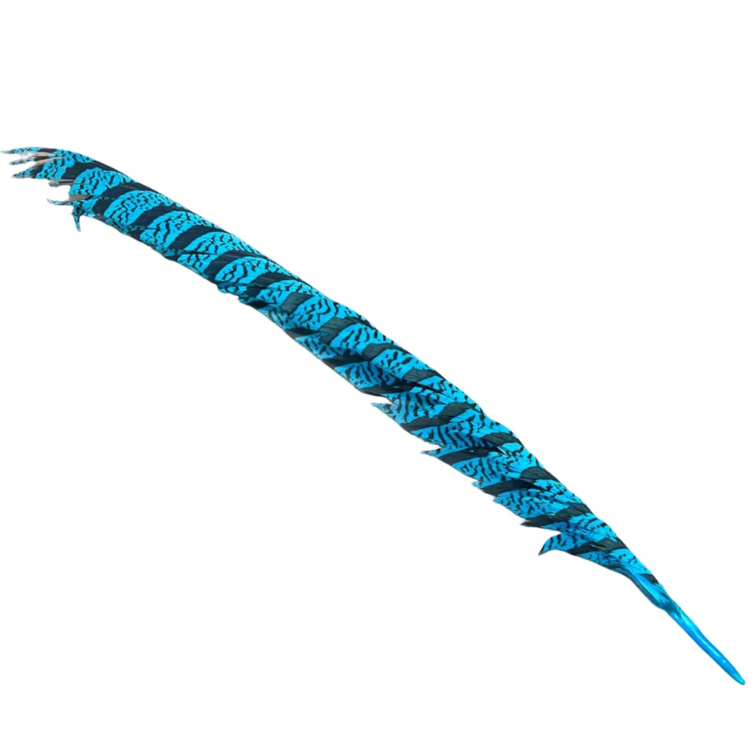 Lady Amherst Center Tail - Halfs - Feathers & Marabou - Fly Fish Food
