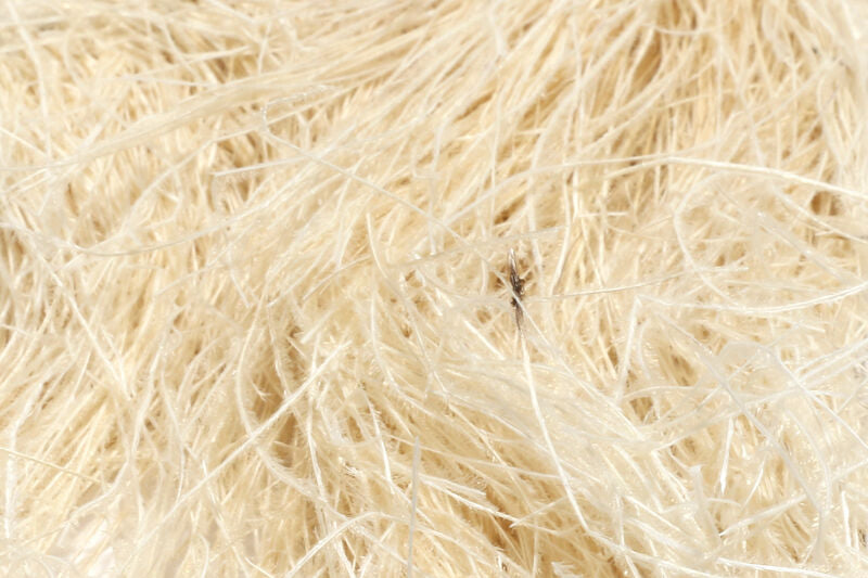 Dyed Over White Peacock Herl