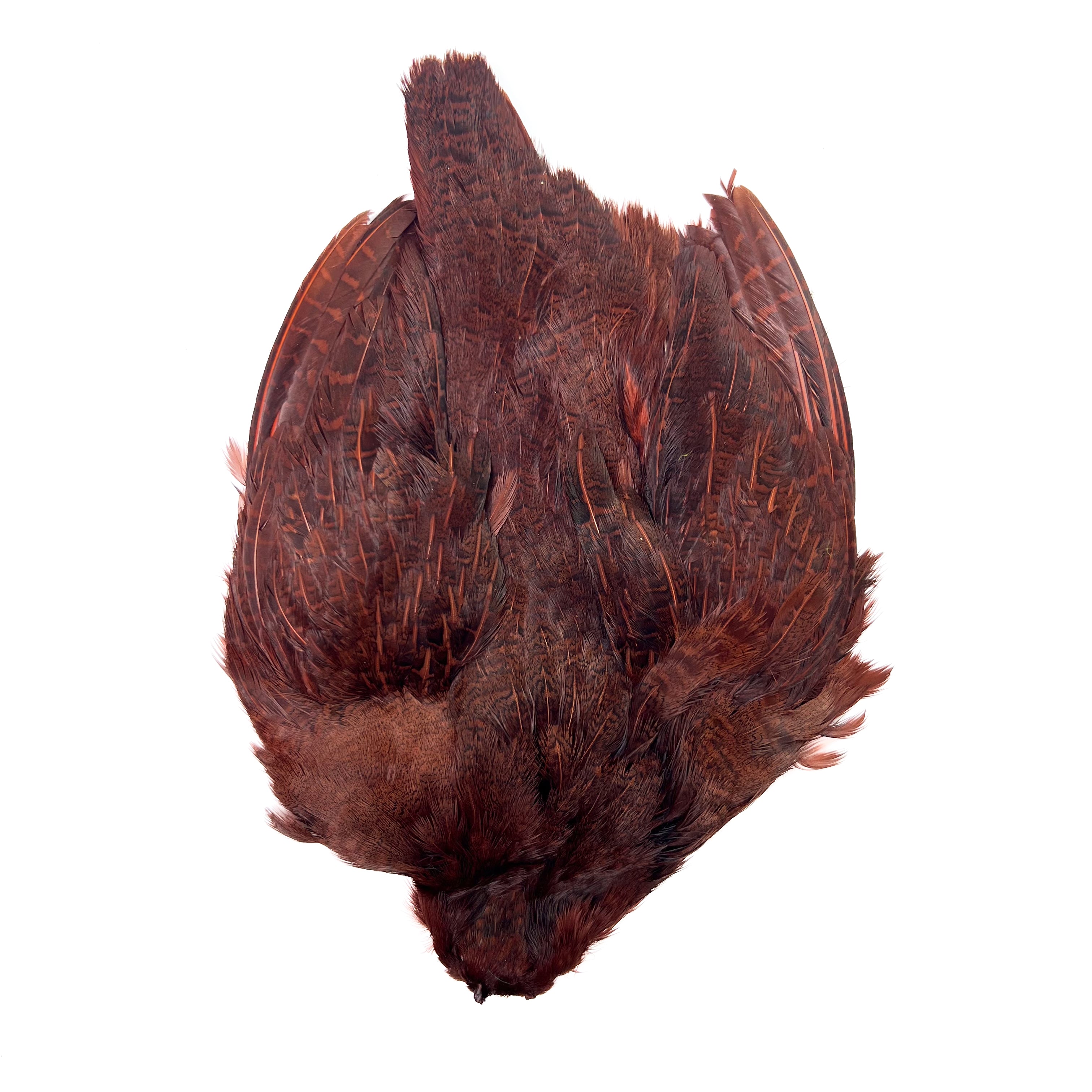 Dyed Hungarian Partridge - Full Pelt - Grade #1