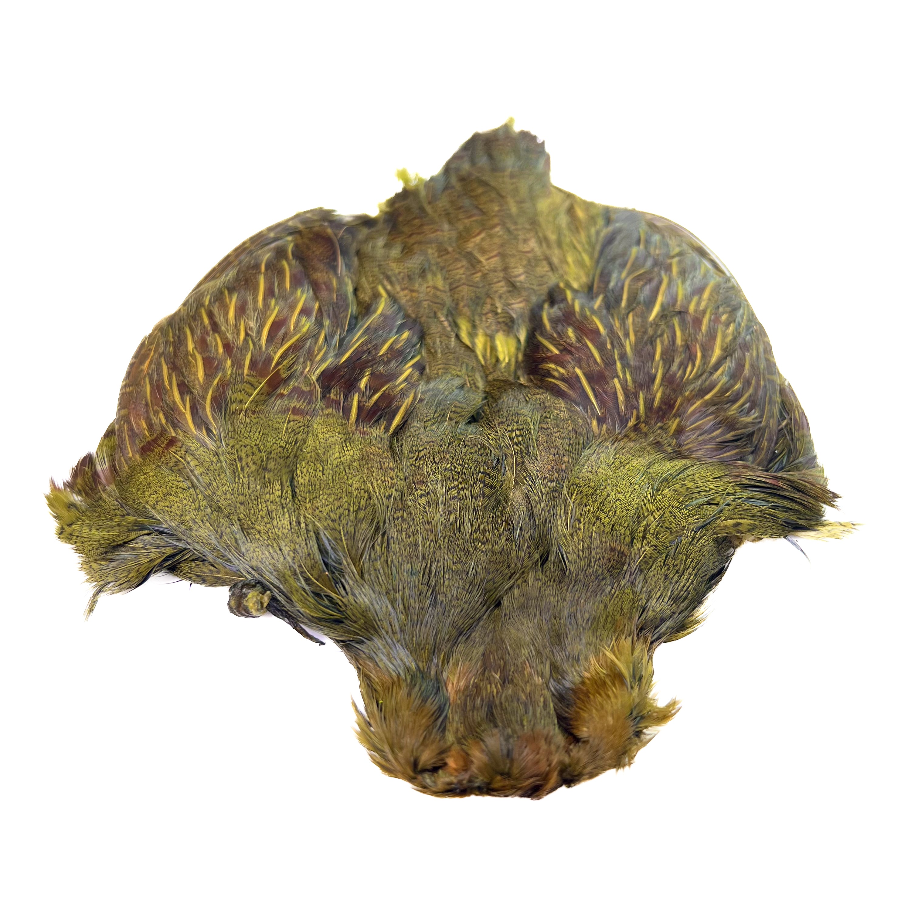 Dyed Hungarian Partridge - Full Pelt - Grade #1
