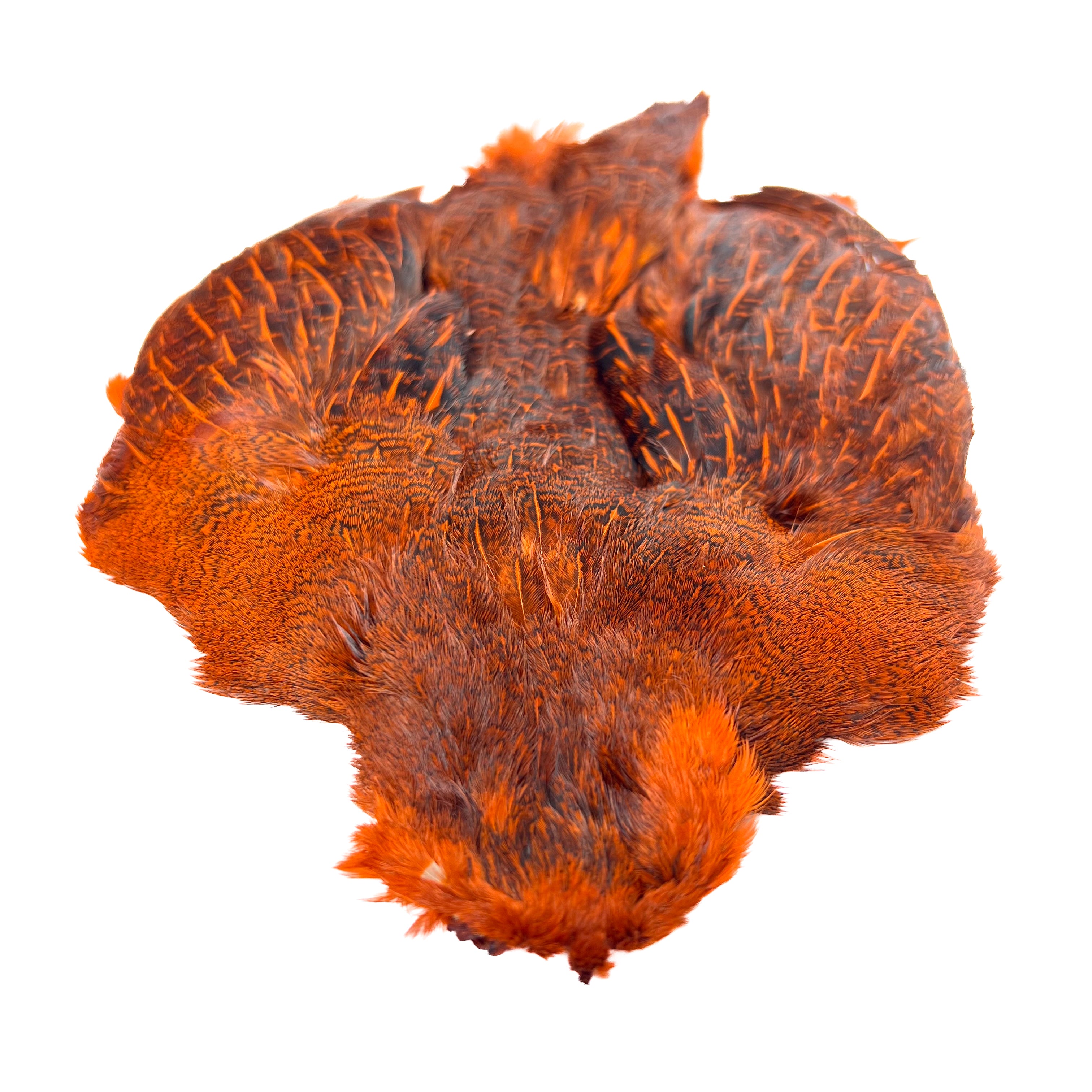 Dyed Hungarian Partridge - Full Pelt - Grade #1