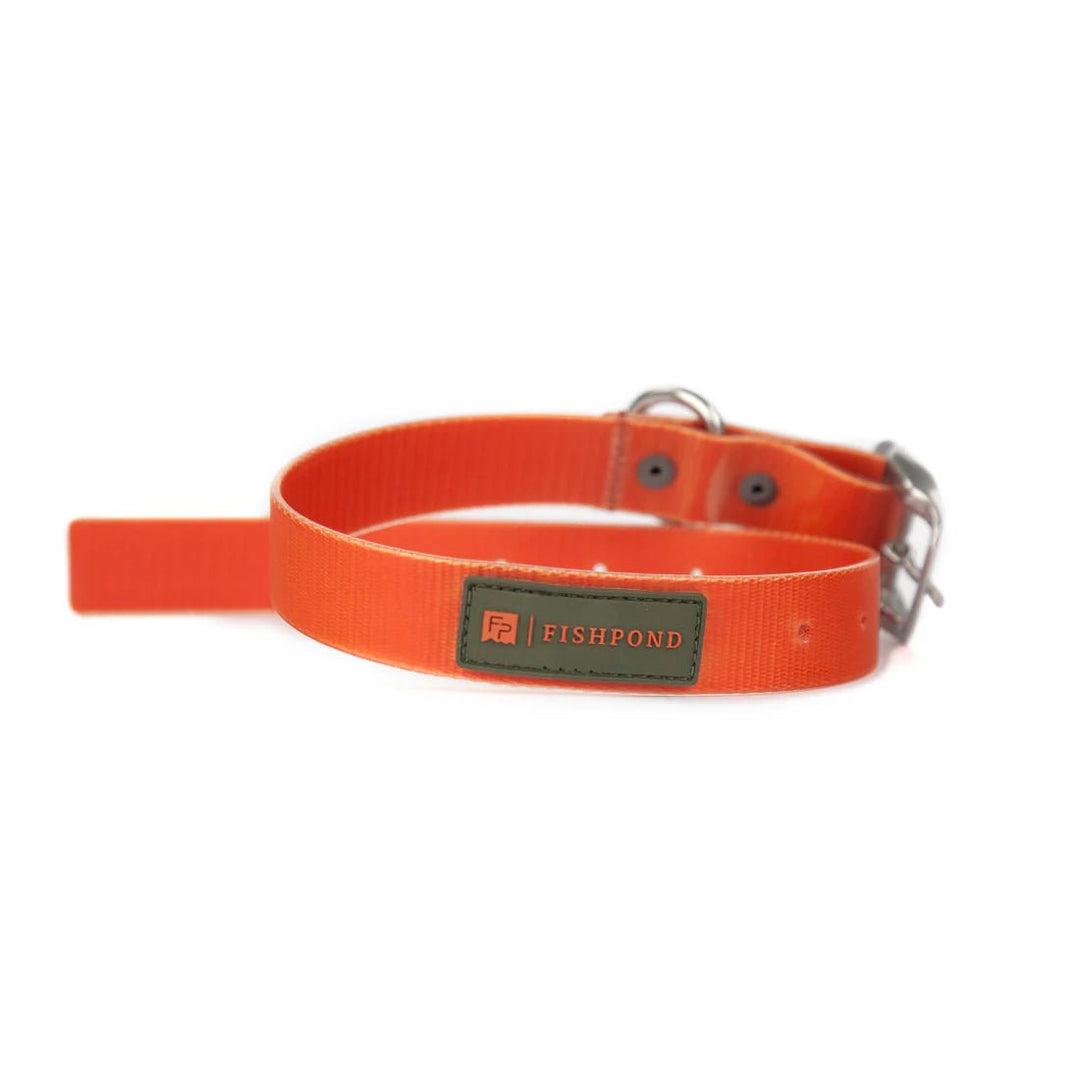 Fishpond Dog Collar - Accessories & Misc - Fly Fish Food
