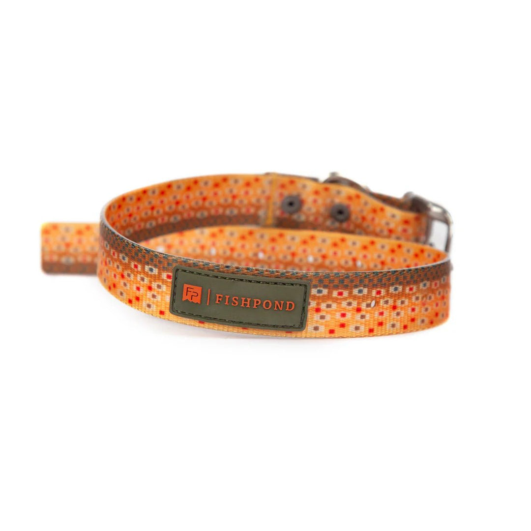 Fishpond Dog Collar - Accessories & Misc - Fly Fish Food
