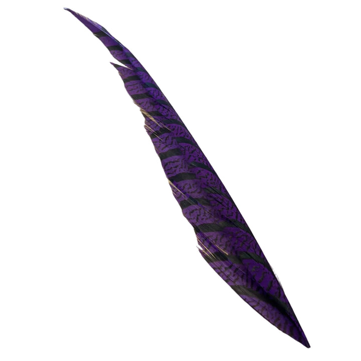 Lady Amherst Center Tail - Halfs - Feathers & Marabou - Fly Fish Food
