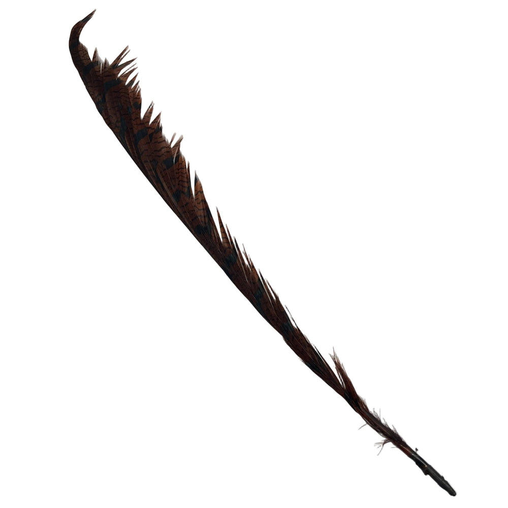 Lady Amherst Center Tail - Halfs - Feathers & Marabou - Fly Fish Food