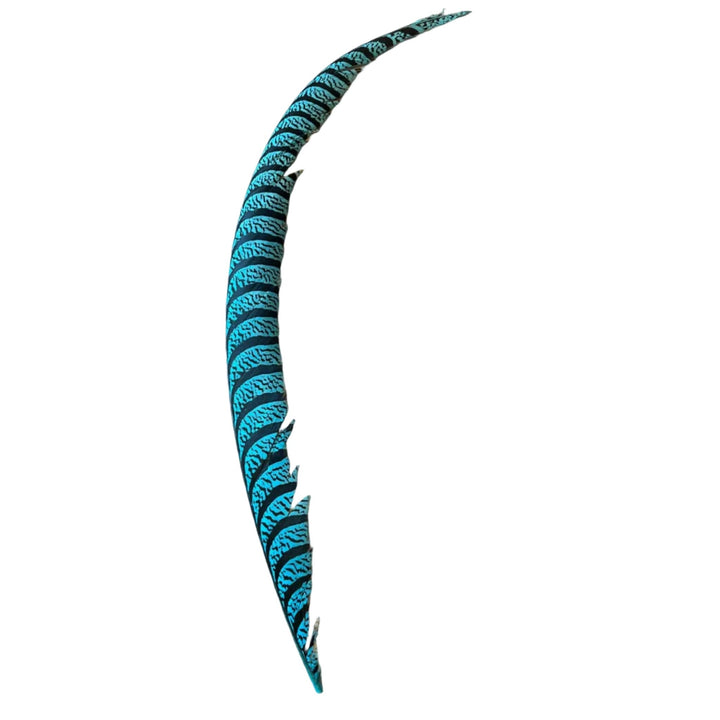 Lady Amherst Center Tail Feather - Feathers & Marabou - Fly Fish Food