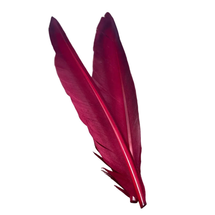 Duck Quills - 2 Pair - Feathers & Marabou - Fly Fish Food