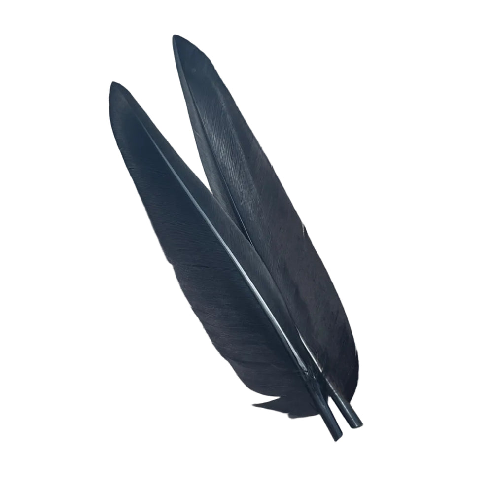 Duck Quills - 2 Pair - Feathers & Marabou - Fly Fish Food