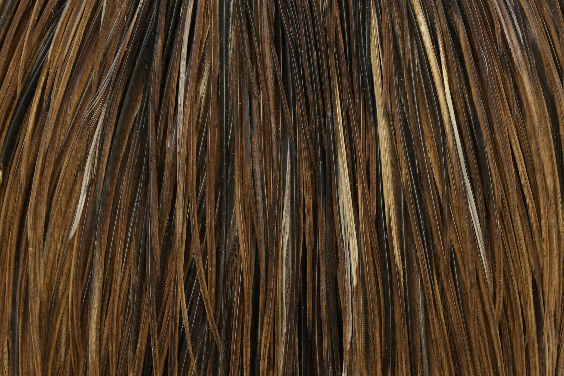 Whiting Hebert Miner Pro Grade Cape - Hackle - Fly Fish Food