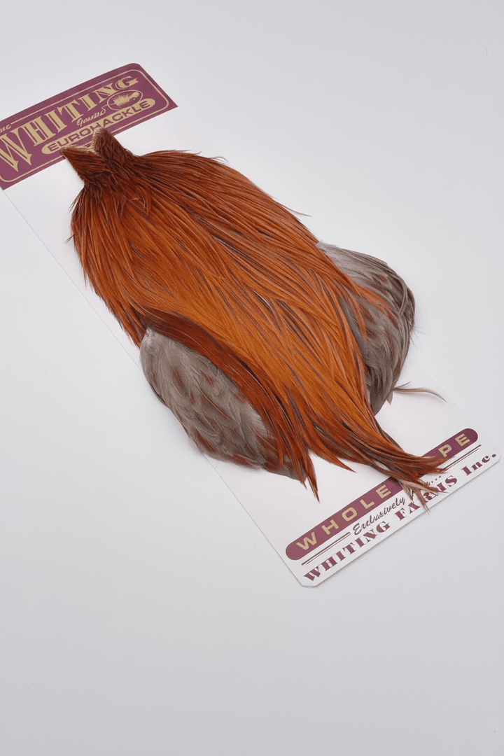 Whiting Eurohackle Cape - Hackle - Fly Fish Food