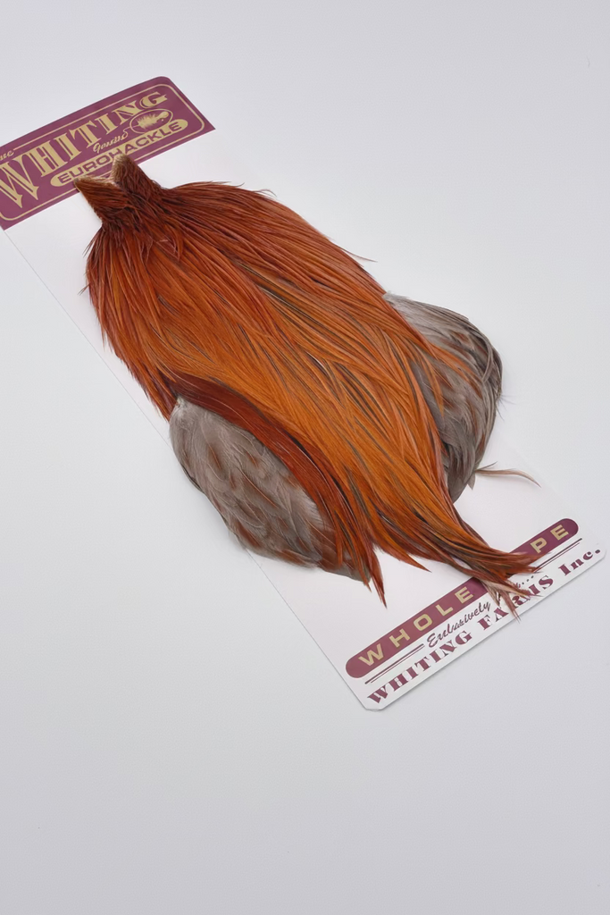 Whiting Eurohackle Cape – Fly Fish Food