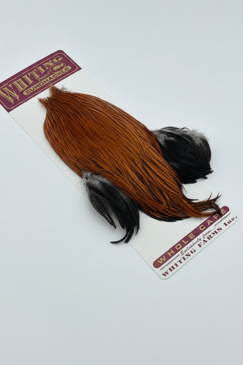 Whiting Eurohackle Cape - Hackle - Fly Fish Food