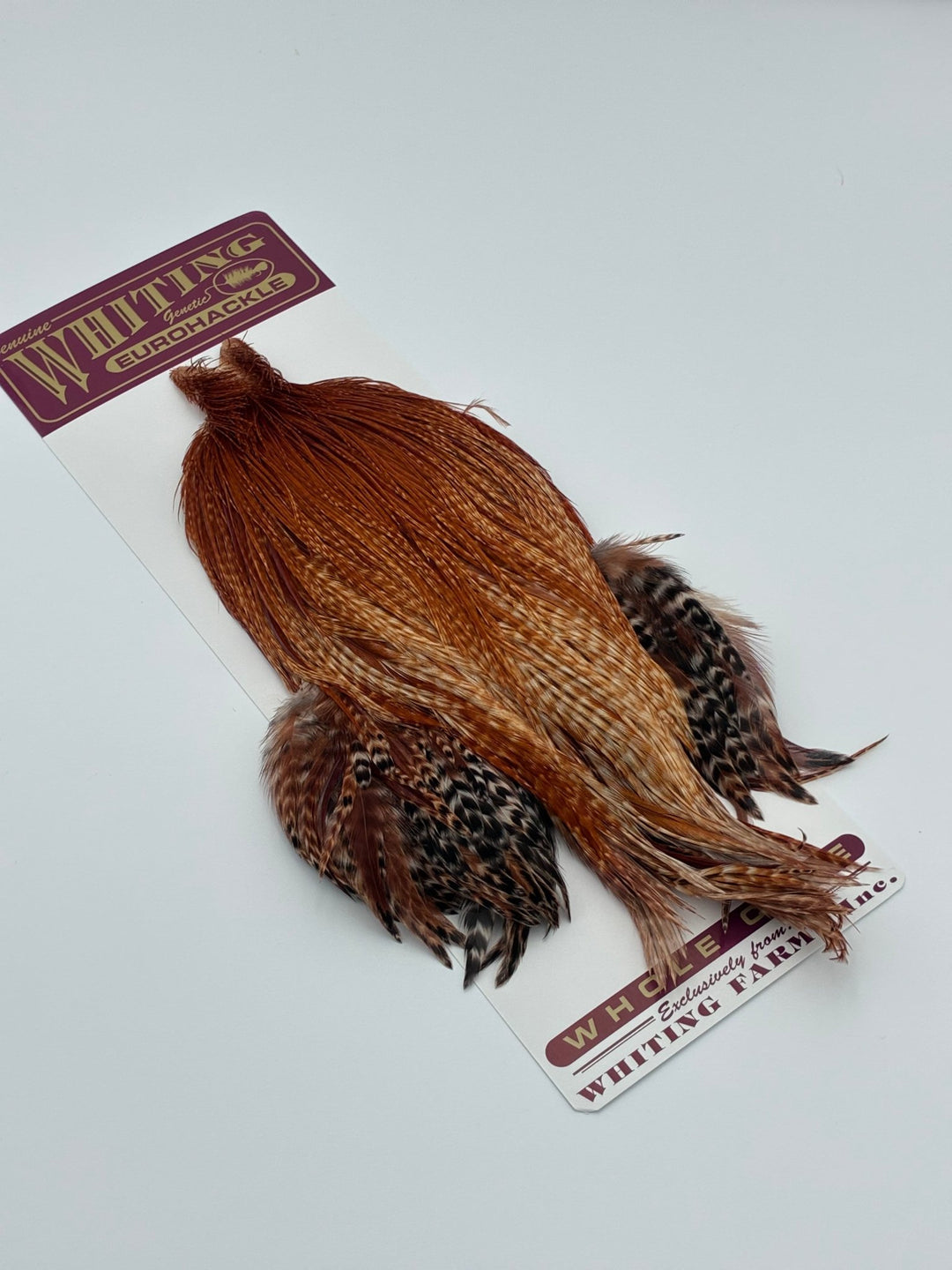 Whiting Eurohackle Cape - Hackle - Fly Fish Food