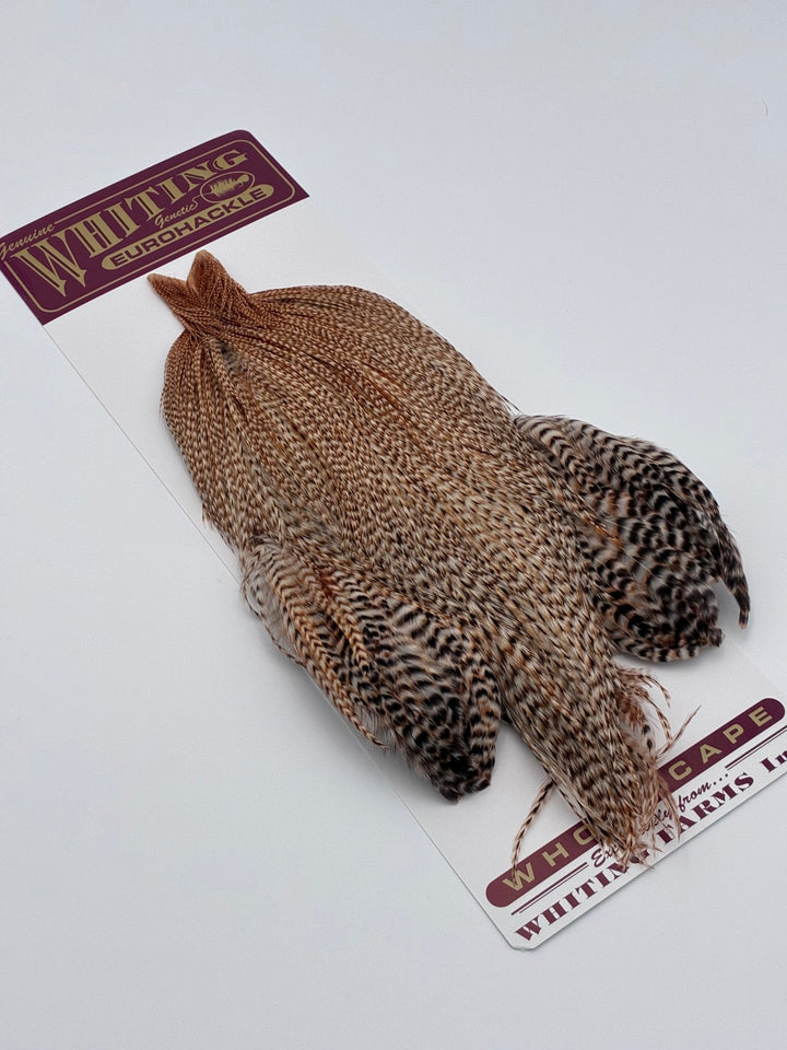 Whiting Eurohackle Cape - Hackle - Fly Fish Food