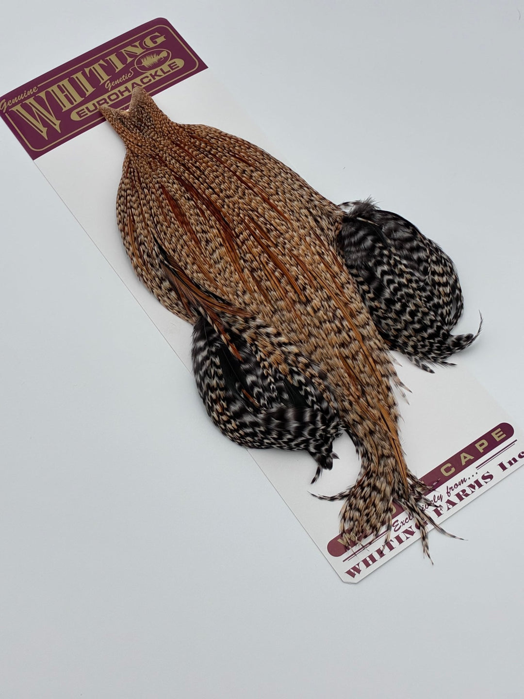 Whiting Eurohackle Cape - Hackle - Fly Fish Food