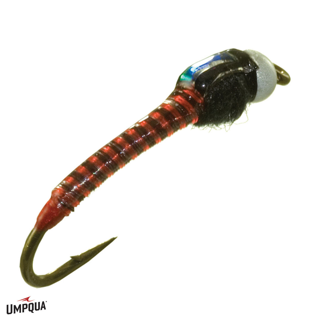 Jumbo Juju Chironomid
