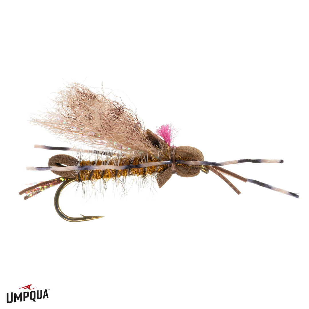 Madistone - Golden Stonefly