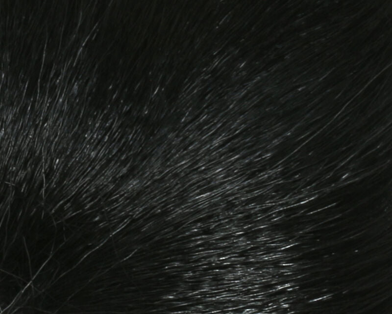 Petite Bucktail - Hair & Fur - Fly Fish Food