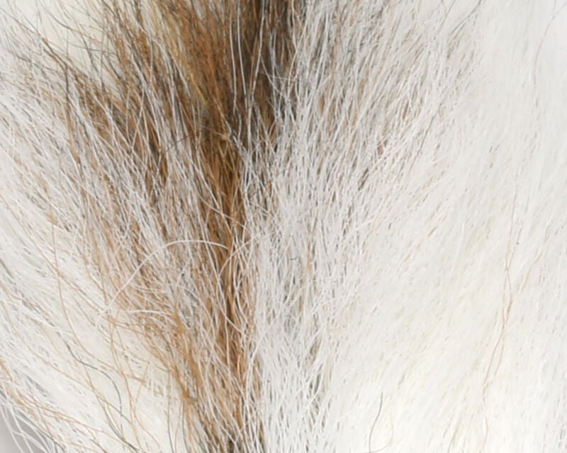Petite Bucktail - Hair & Fur - Fly Fish Food