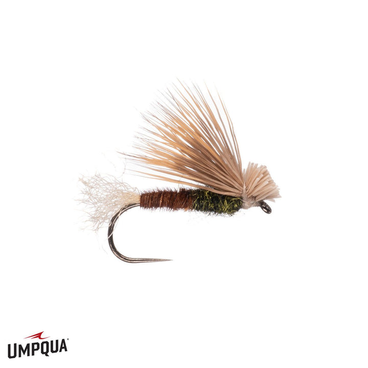 PT X Caddis - Olive - Flies - Fly Fish Food
