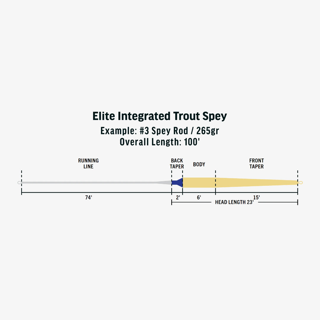 Rio - Elite Integrated Trout Spey Fly Line