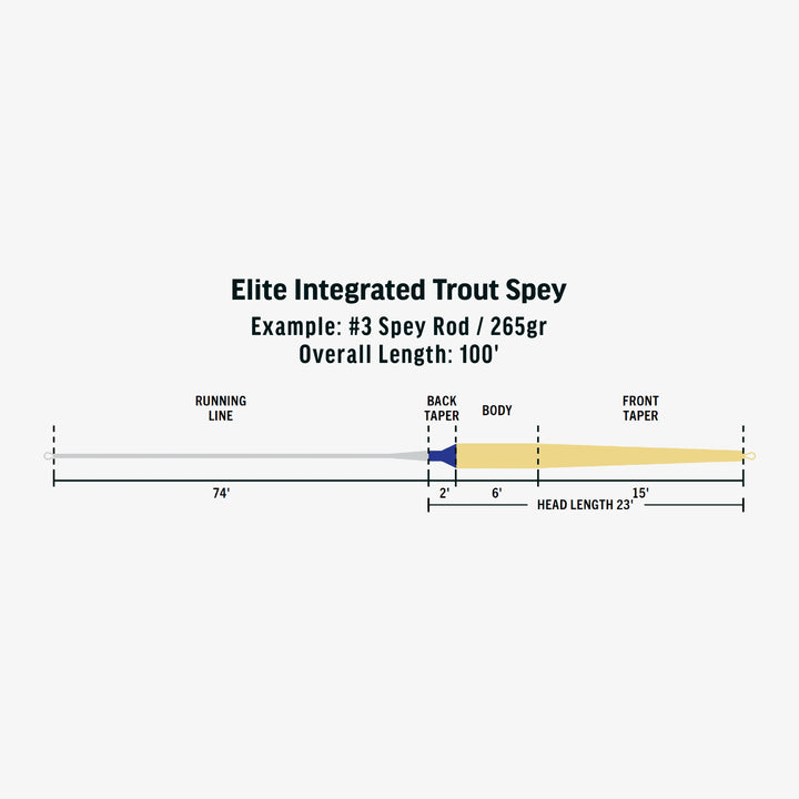 Rio - Elite Integrated Trout Spey Fly Line