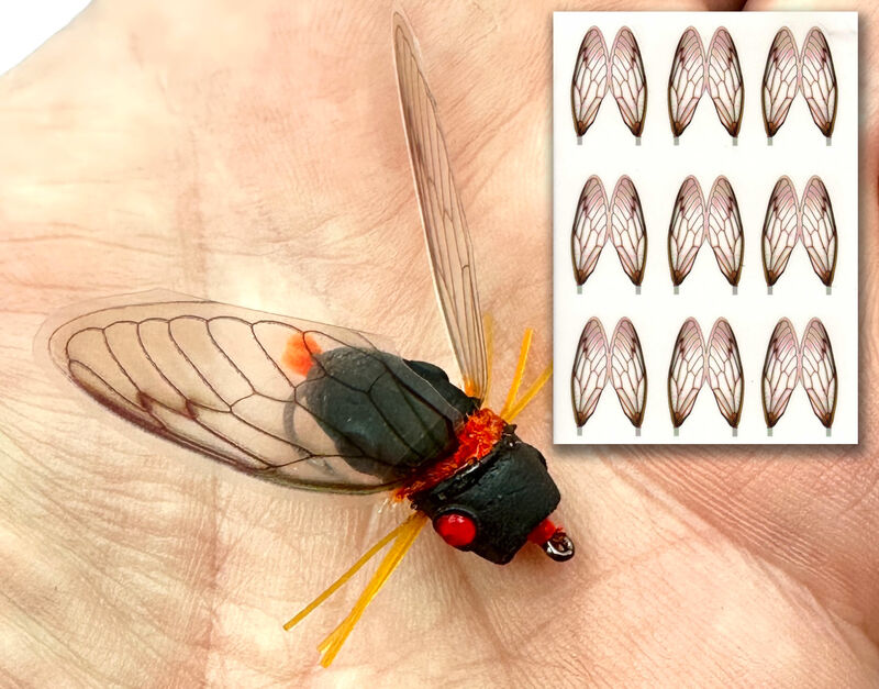 Cicada Wings - Orange