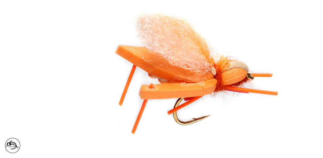 Hoptimus Prime - Indicator Orange