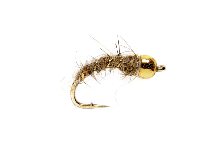 Bead Head Hare's Ear Grub - Flies - Fly Fish Food