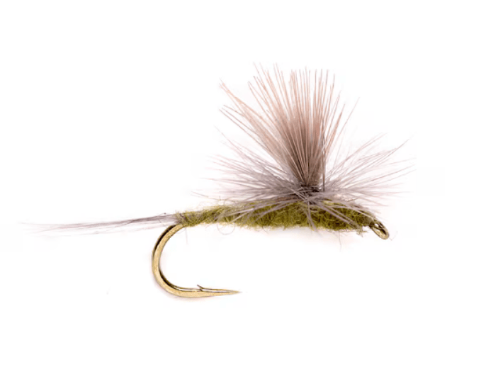 BWO Parachute - Flies - Fly Fish Food