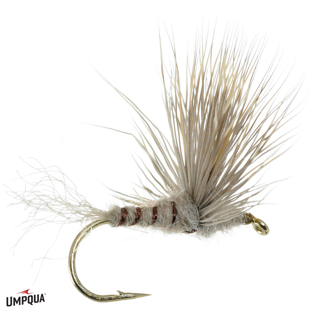 Sparkle Dun - March Brown