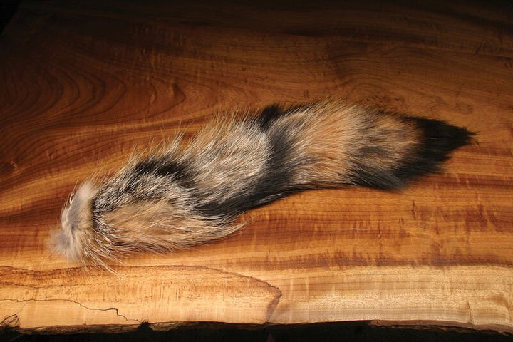 Complete Coyote Tail - Hair & Fur - Fly Fish Food