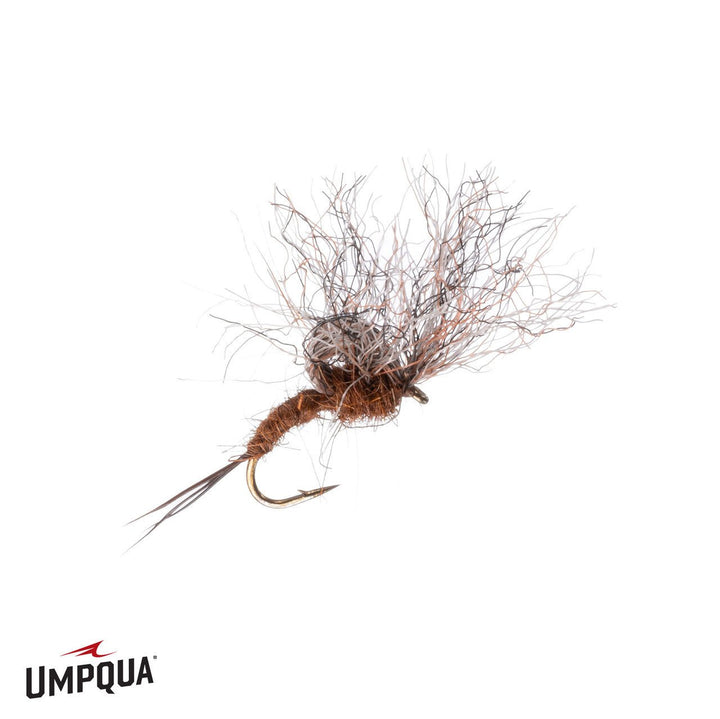 Timmy Emerger - Brown - Flies - Fly Fish Food