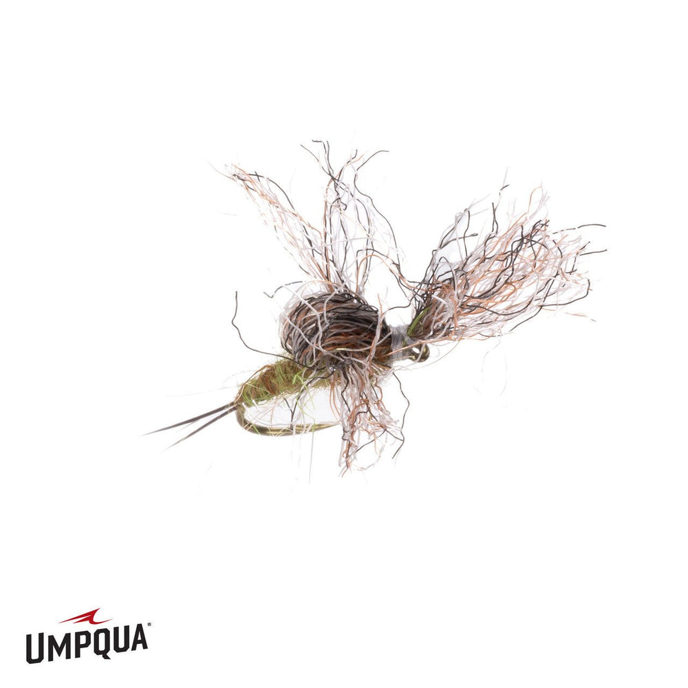 Timmy Emerger - Olive - Flies - Fly Fish Food