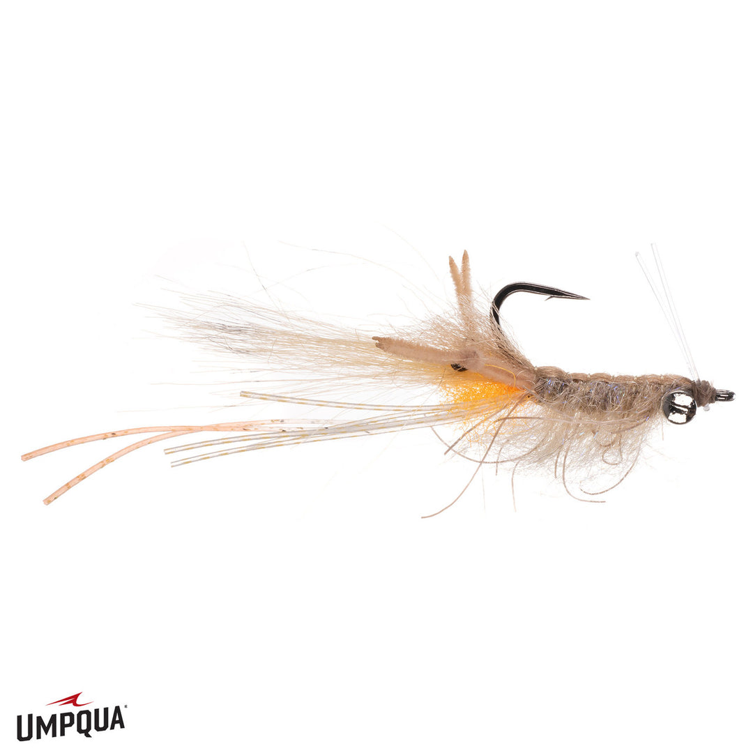 Truffle Pig Mantis Shrimp - Tan Lead Eyes