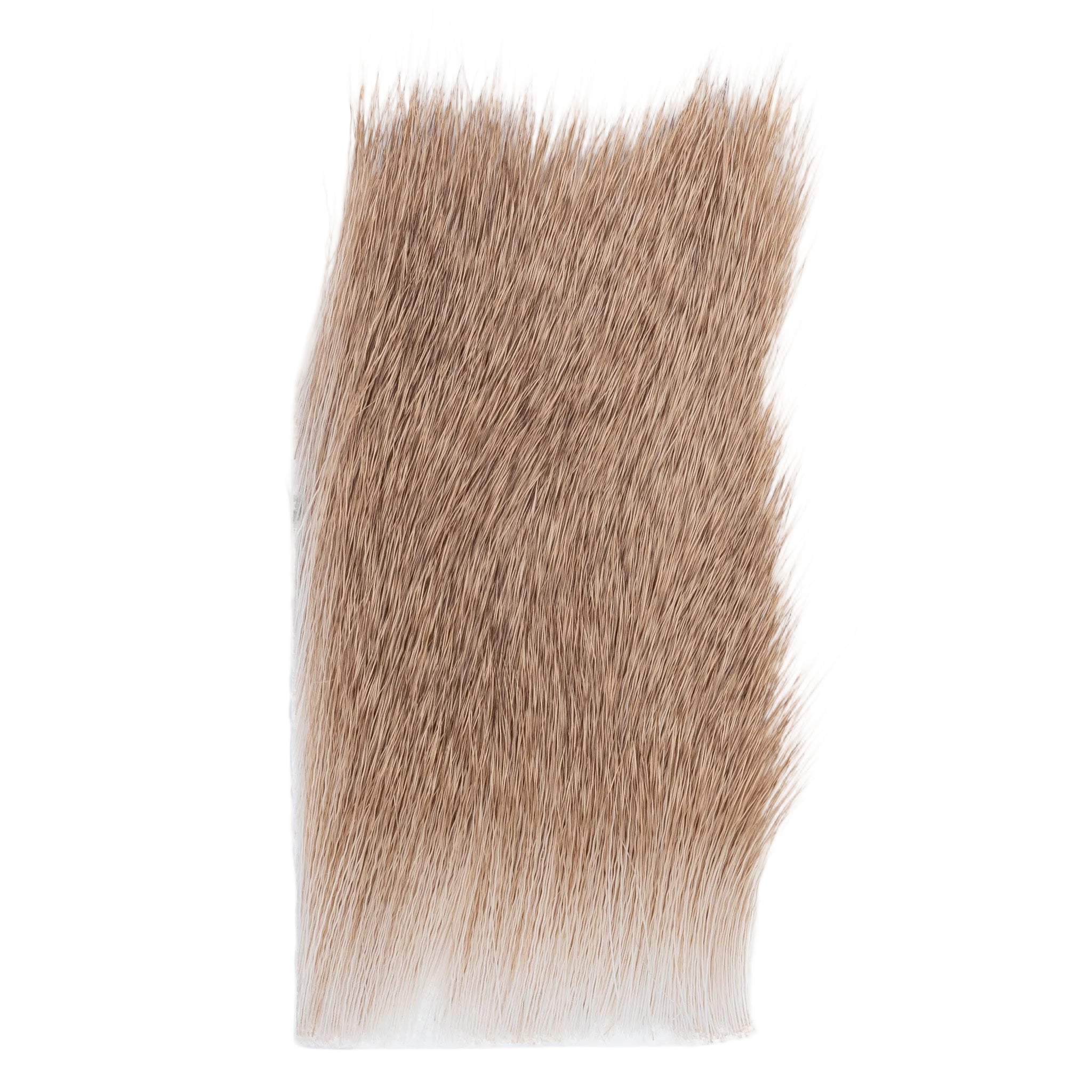 Varner Short Fine Hair 2