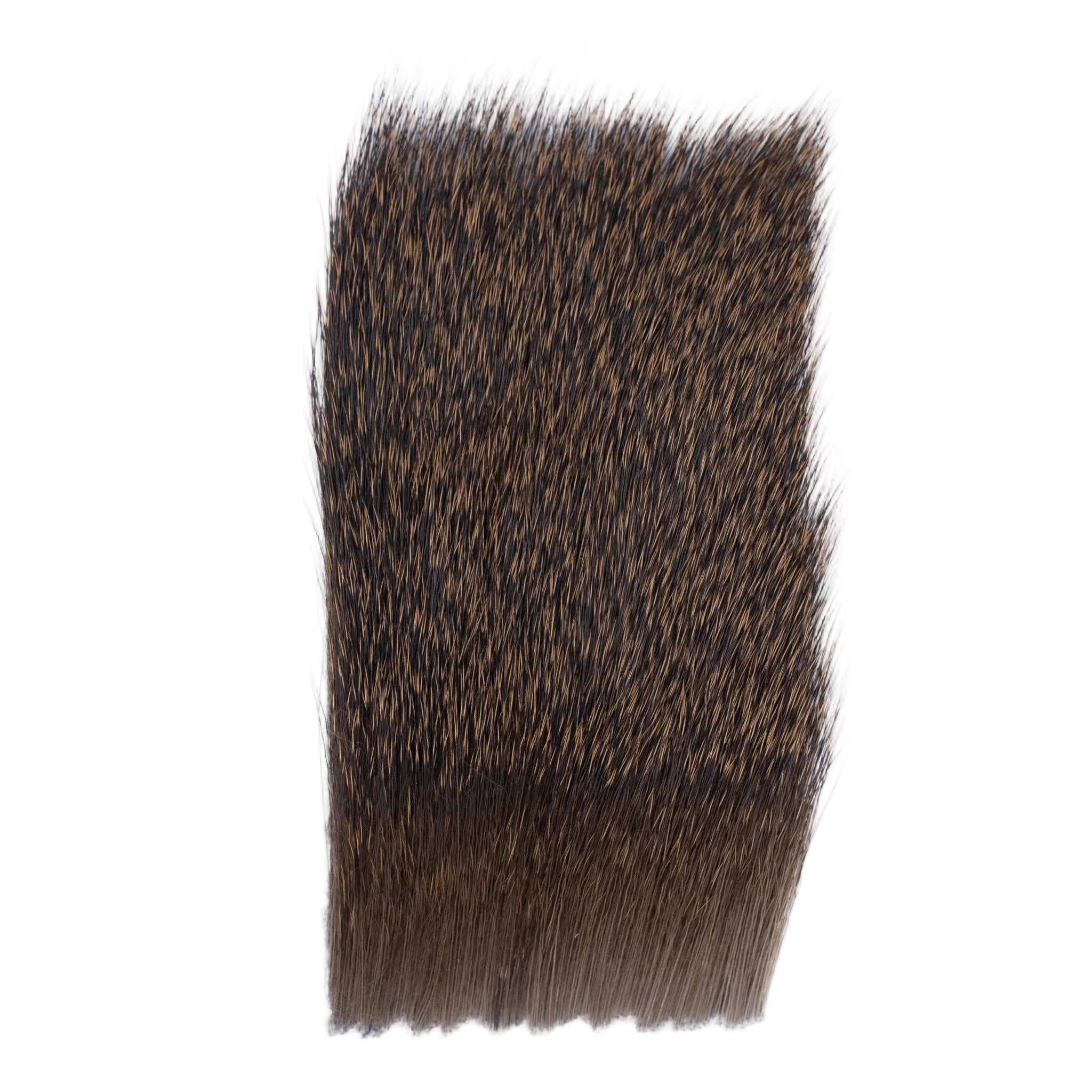 Varner X - Fine Hair 2