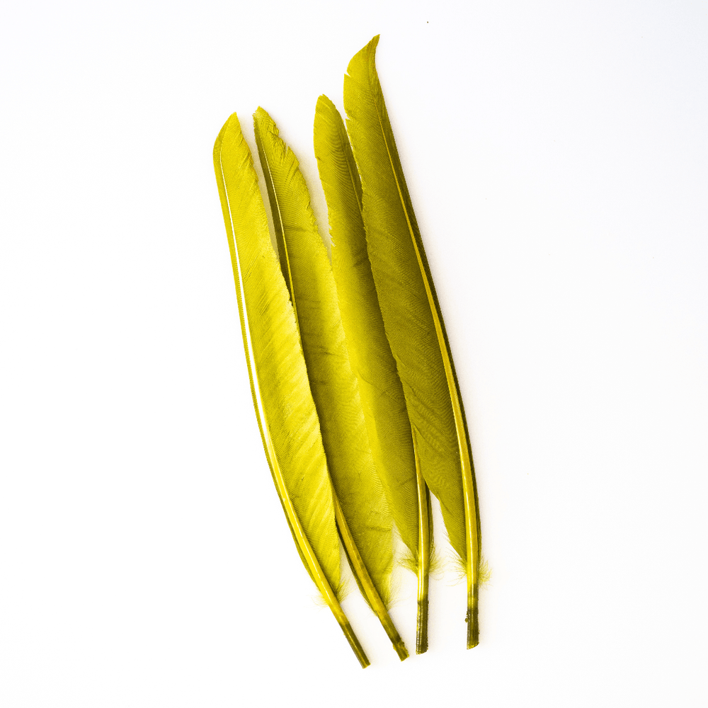 Wapsi - Duck Quill - 2 Pair - Feathers & Marabou - Fly Fish Food