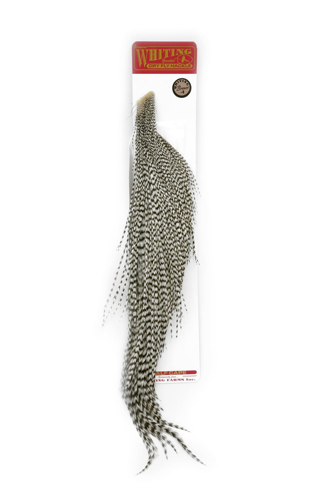 Whiting Bronze 1/2 Cape - Rooster - Fly Fish Food