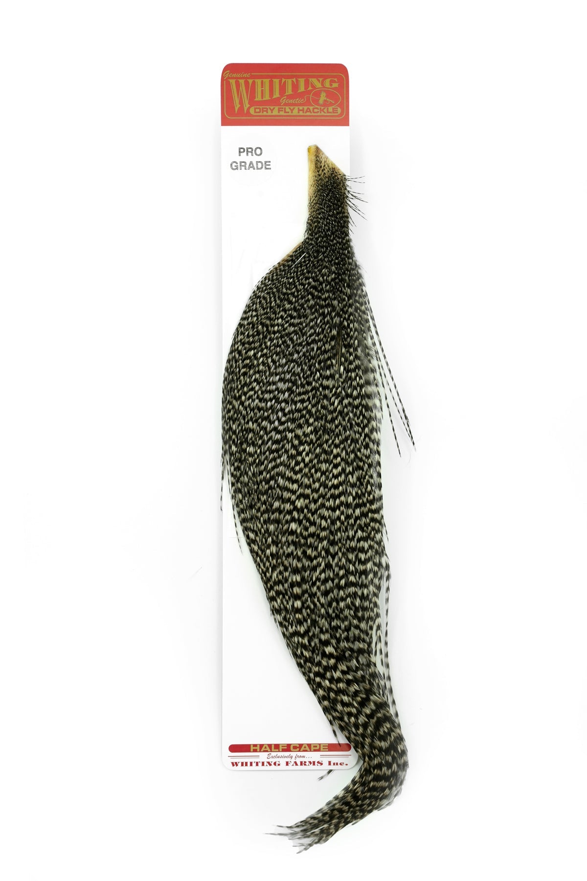Whiting Pro Grade 1/2 Cape – Fly Fish Food