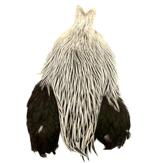 Whiting Brahma Rooster Cape