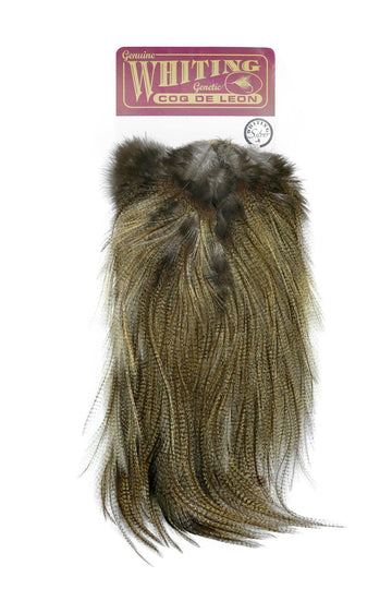 Coq de Leon Bronze Saddle