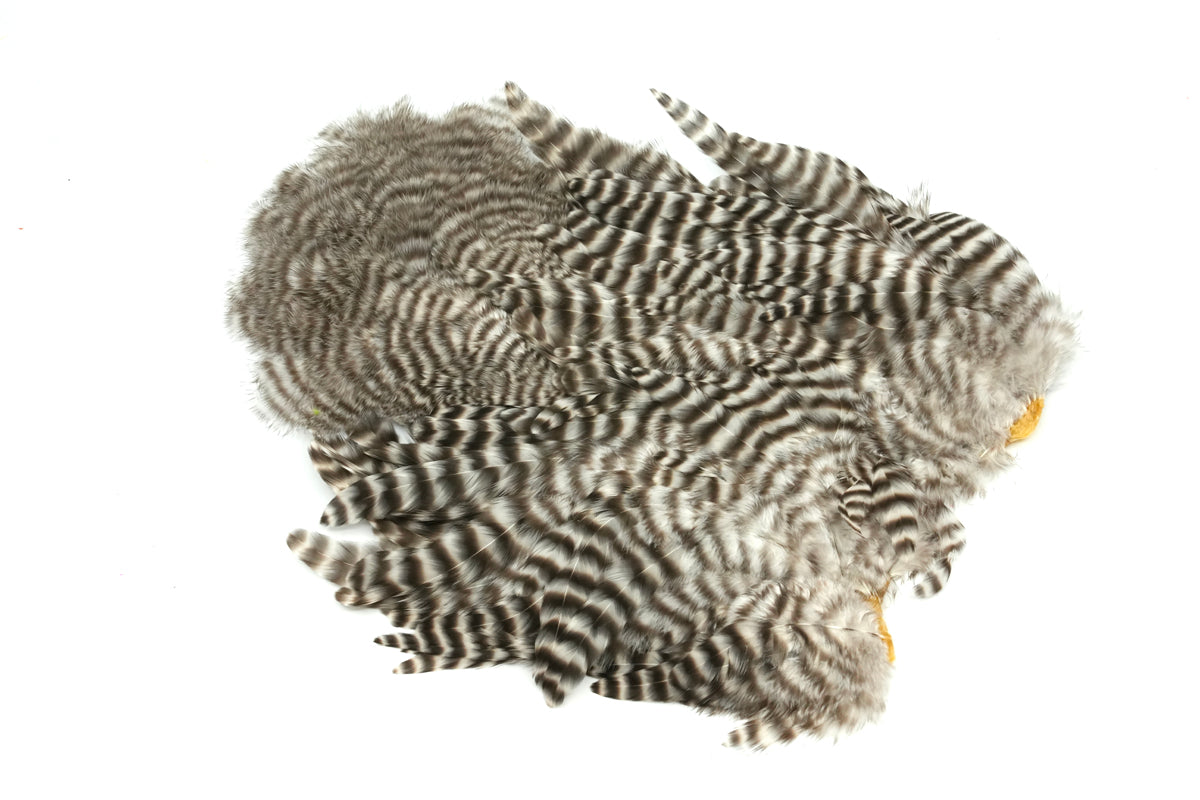 Whiting Rooster Soft Hackle with Chickabou