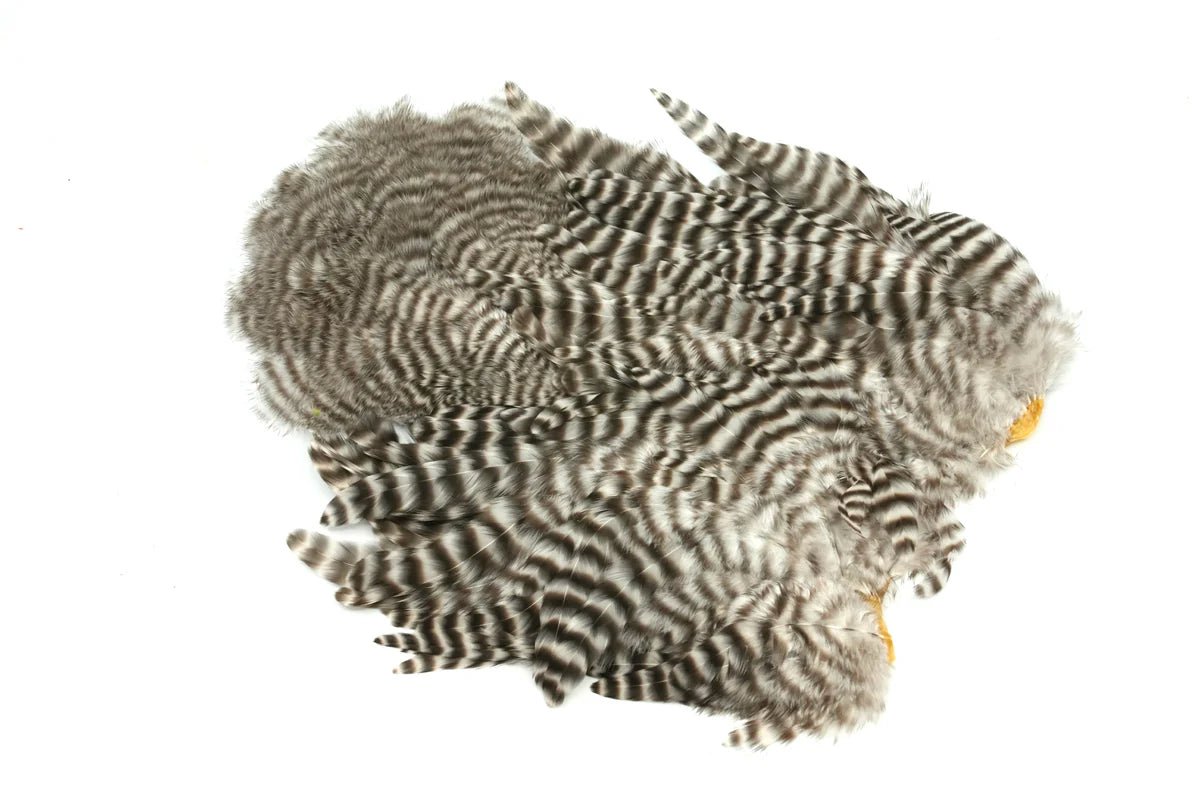 Whiting Rooster Soft Hackle with Chickabou - Hackle - Fly Fish Food