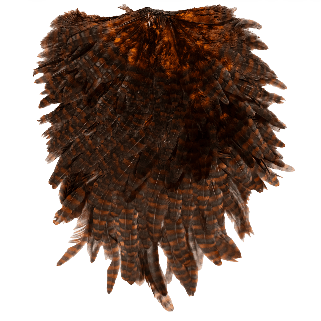 Whiting Specialty Bugger Saddle - Hackle - Fly Fish Food