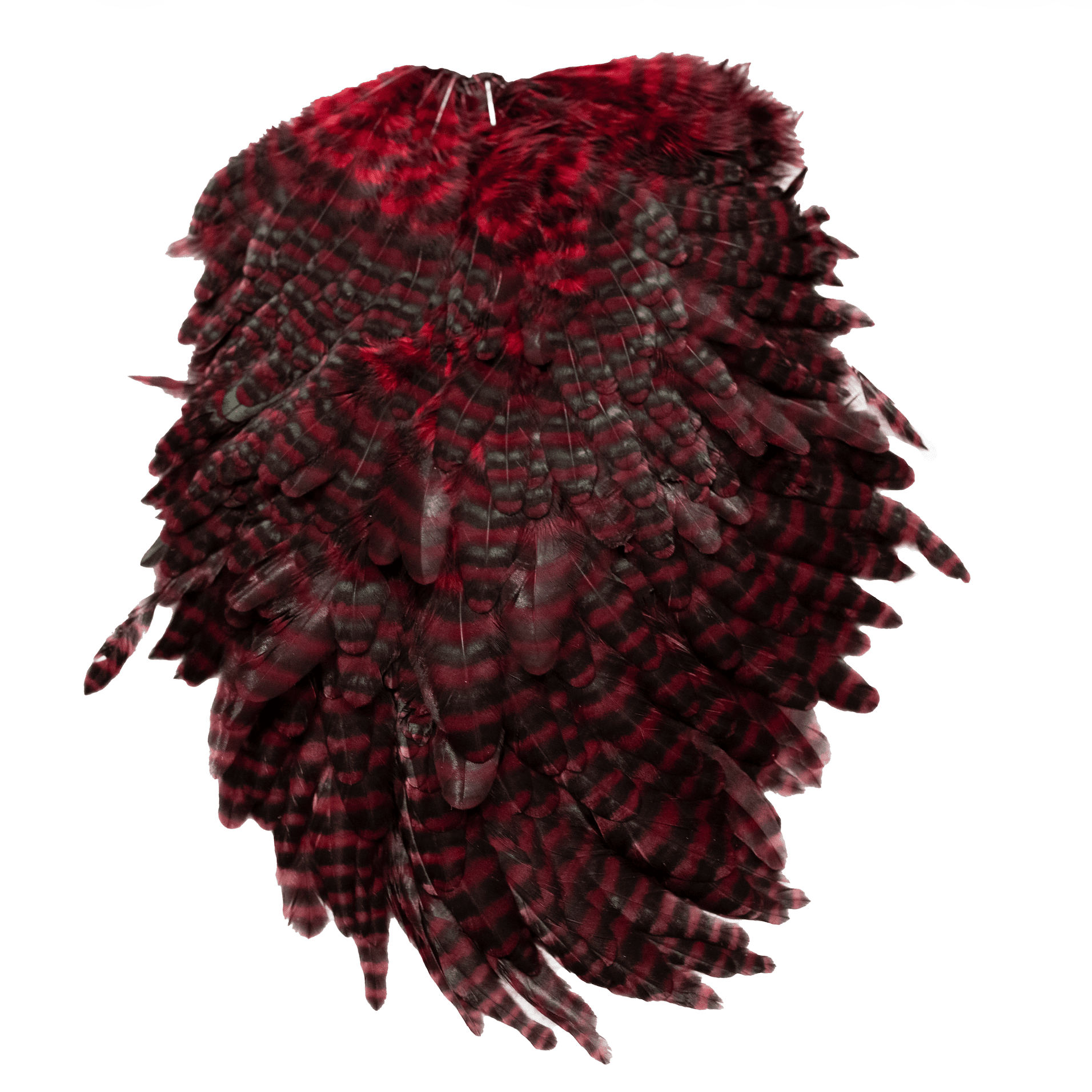 Whiting Specialty Bugger Saddle - Hackle - Fly Fish Food